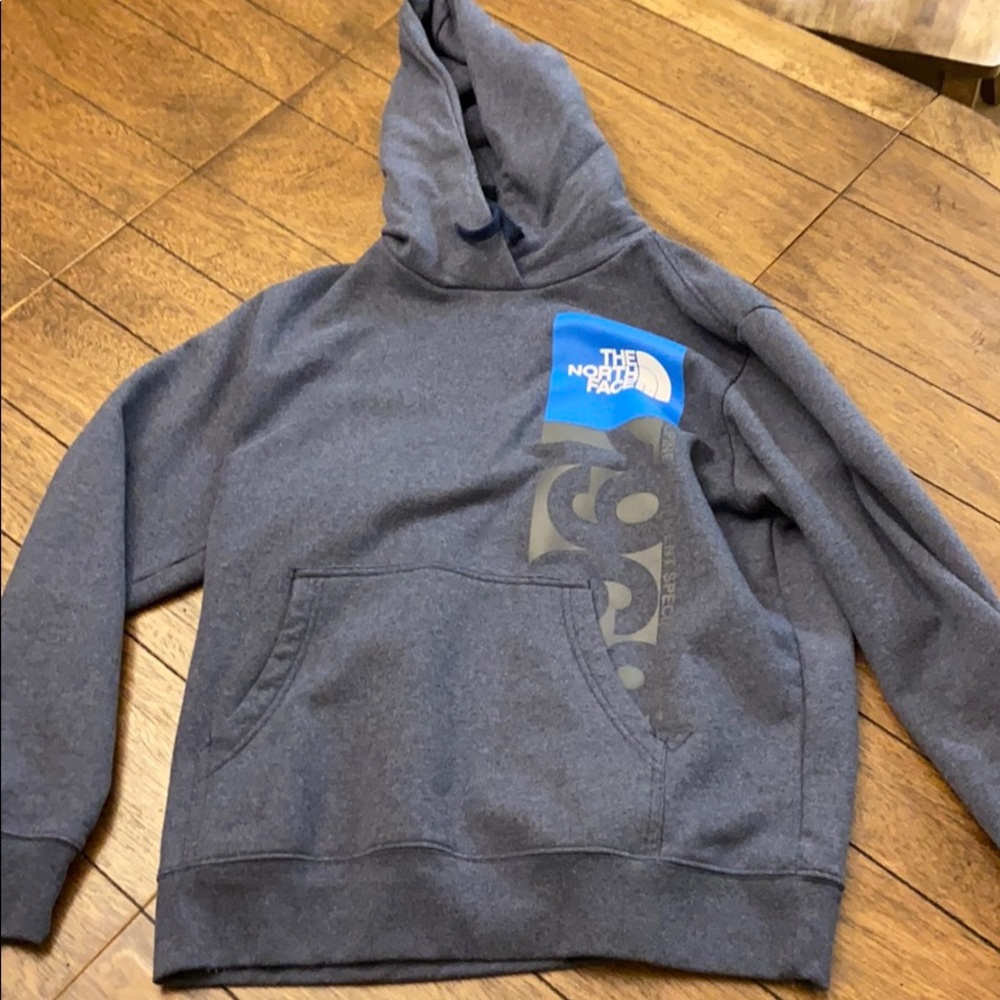 The north face sweatshirt